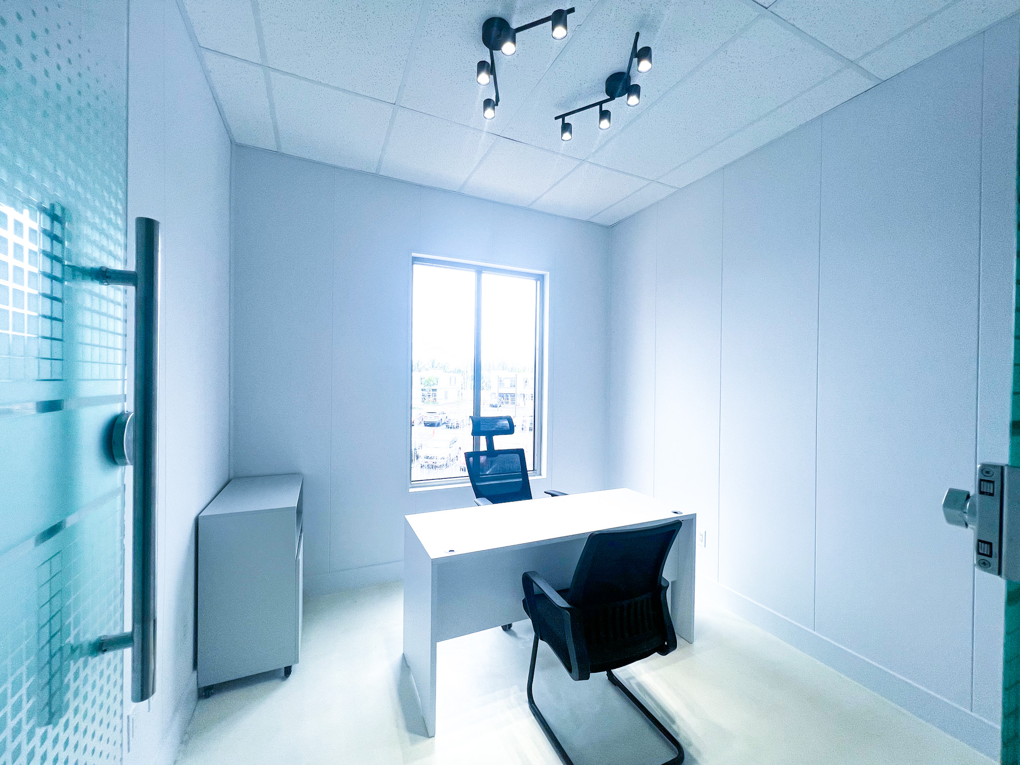 Private Office with Desk & Chairs